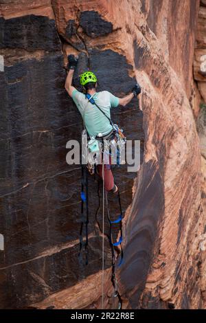 Un alpiniste de roche a repéré dans le parc national de Zion Banque D'Images