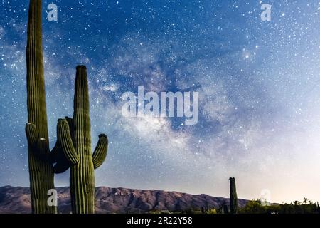 Milky Way dans le ciel nocturne Banque D'Images