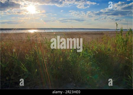 La photo a été prise près de l'estuaire dans la région d'Odessa. La photo montre une soirée sur la rive d'un estuaire salé surcultivé avec des roseaux. Banque D'Images