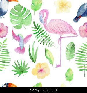Motif transparent Tropical Banque D'Images