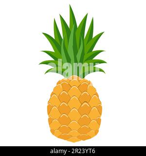 illustration vectorielle d'icône plate d'ananas fruit food isolée sur fond blanc Banque D'Images