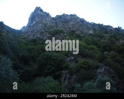 Train à voie étroite Rhodopes (montagnes Rhodopes, Bulgarie) Banque D'Images