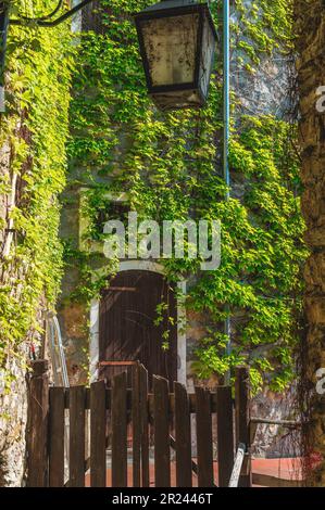 Un bâtiment en brique d'époque avec feuillage grimpant les murs extérieurs à Castelvecchio di Rocca Barbena Banque D'Images