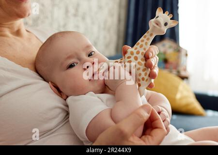 Gros plan d'un bébé assis sur les bras de la mère et jouant avec une girafe en peluche. L'enfant regarde dans la caméra et tient un jouet, assis dans les bras o Banque D'Images