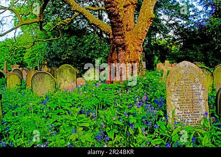 Cimetière de York, Cemetery Road, York, Yorkshire, Angleterre Banque D'Images