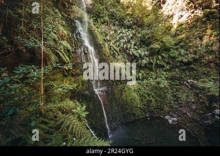 Photo aérienne d'une belle cascade en cascade dans une forêt tropicale à Madère, au Portugal Banque D'Images