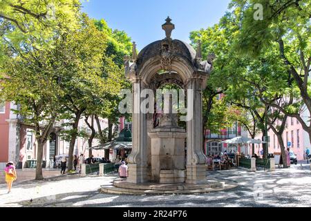 Lisbonne, Portugal-octobre 2022 : gros plan de la fontaine Chafariz do Carmo sur la place Largo de Carmo entourée d'arbres jacaranda Banque D'Images