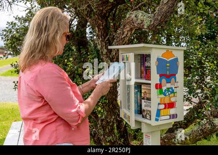 A Women choisit Un livre d'Une bibliothèque communautaire Lilliput, Waipu Cove, Northland, Nouvelle-Zélande. Banque D'Images