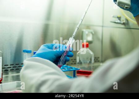 milieux de culture cellulaire Banque D'Images