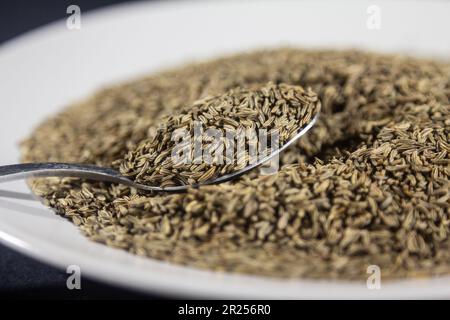 Illustration d'une pile de graines de cumin sur un emplacement sur une cuillère en métal. Le cumin est une plante à fleurs de la famille des Apiaceae, originaire de l'Irano-Turani Banque D'Images