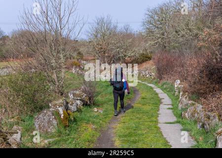 Navarre, Espagne, 04 décembre, 2022: Promenade en pèlerinage le long du Camino de Santiago, le chemin de Saint Route de pèlerinage de James, Navarre, Espagne. Banque D'Images