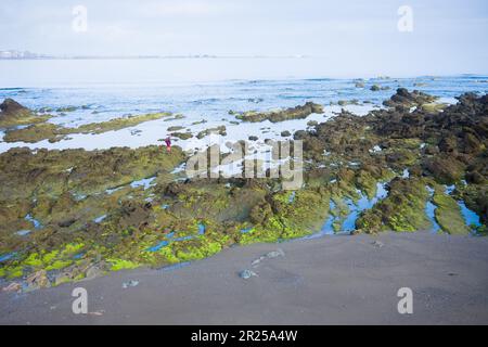 Figure éloignée d'un homme marchant sur les rochers à marée basse à la plage de Rinconin, ou plage de Cervigon, à Gijon, en Espagne. Banque D'Images