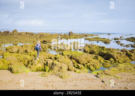 Figure éloignée d'une femme marchant sur les rochers à marée basse à la plage de Rinconin, ou plage de Cervigon, à Gijon, en Espagne. Banque D'Images