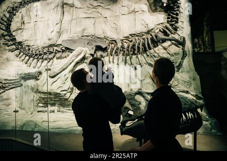 DRUMHELLER, ALBERTA, CANADA - mai 2023 visiteurs à l'entrée principale du Royal Tyrrell Museum of Paléontologie en Alberta. Photo de haute qualité Banque D'Images
