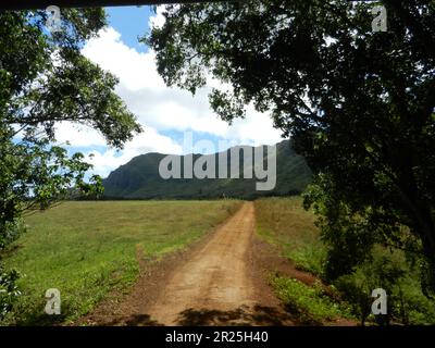 Route de terre brune coupant à travers un champ d'herbe menant à une montagne l'été partiellement nuageux jour. Banque D'Images