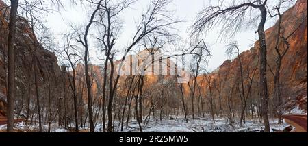 Panoramaaufnahme aus dem Zion Nationalpark im Winter mit Schnee fotografiert auf dem Zion Canyon Scenic Drive tagsüber im Januar 2013 Banque D'Images