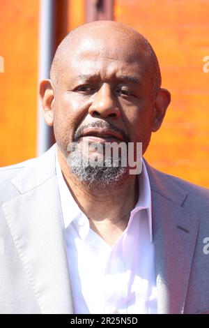 Forest Whitaker est photographiée lors de la présentation du centre d'apprentissage français de l'Initiative de paix et de développement Whitaker à Aubervillers, près de Paris, en France, sur 17 mai 2023. Photo de Jerome Dominé/ABACAPRESS.COM crédit: Abaca Press/Alay Live News Banque D'Images