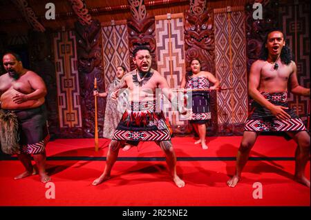 Powhiri, la danse traditionnelle de bienvenue Māori Banque D'Images