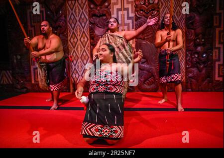 Powhiri, la danse traditionnelle de bienvenue Māori Banque D'Images