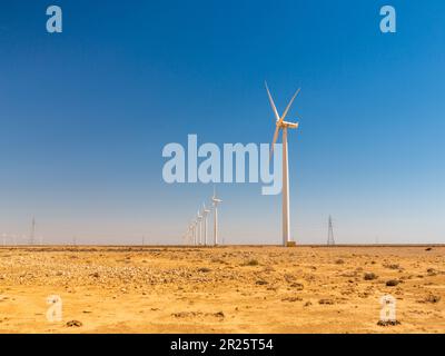 Tarfaya, Maroc - 30 avril 2022 : éoliennes dans le parc de Tarfaya au Maroc Banque D'Images