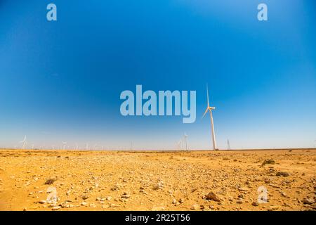 Tarfaya, Maroc - 30 avril 2022 : éoliennes dans le parc de Tarfaya au Maroc Banque D'Images