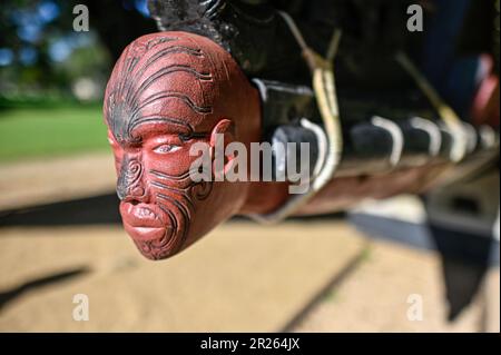 Ngatokimatawhaorua : il s'agit d'un énorme waka taua, un canot de guerre traditionnel de Māori, mesurant environ 35 mètres de long. Ngatokimatawhaorua est le plus grand waka taua de Nouvelle-Zélande et est souvent utilisé à des fins de cérémonie. Il représente les fortes traditions maritimes du peuple Māori et sert de symbole de l'identité culturelle. Banque D'Images