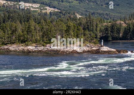 Parc provincial Skookumchuk Narrows, Colombie-Britannique, Canada Banque D'Images