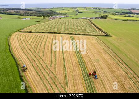 Kilbrittain, West Cork, Irlande. 17th mai 2023. Noel O'Donovan tire de l'ensilage pour le cultivateur de laiterie, de boeuf et de labour, Tim O'Connell en utilisant son récolteur New Holland 1895 1976, qu'il a restauré lui-même. Crédit : AG News/Alay Live News Banque D'Images