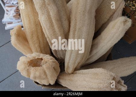 Éponges Luffa Loofah au bazar. Style de vie durable, sans plastique, sans gaspillage. Banque D'Images