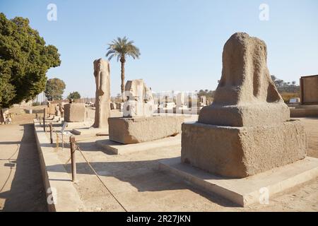 L'ancienne capitale égyptienne de Memphis, aujourd'hui plus connue pour sa gigantesque statue de Ramsès II Banque D'Images