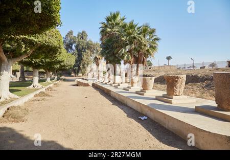 L'ancienne capitale égyptienne de Memphis, aujourd'hui plus connue pour sa gigantesque statue de Ramsès II Banque D'Images