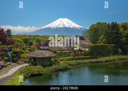 Oshino Hakkai et Mt. Fuji Banque D'Images