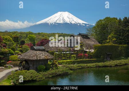 Oshino Hakkai et Mt. Fuji Banque D'Images