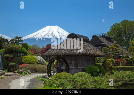 Oshino Hakkai et Mt. Fuji Banque D'Images