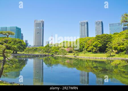 Jardin d'Hamarikyu au printemps et immeubles d'appartements en hauteur Banque D'Images