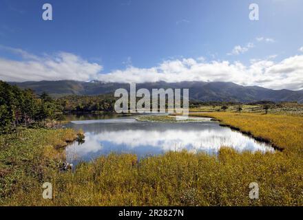 Ichiko, 1st Lac Banque D'Images