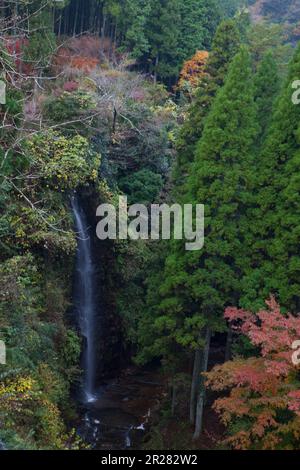 Ravin de Yoro tournant en rouge et cascade de Maboroshi Banque D'Images