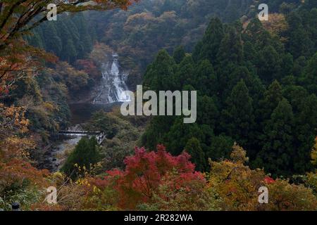Ravin de Yoro tournant rouge et chute d'eau d'Awamata Banque D'Images