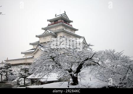 Château de Tsuruga en hiver Banque D'Images