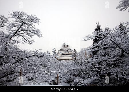 Château de Tsuruga en hiver Banque D'Images