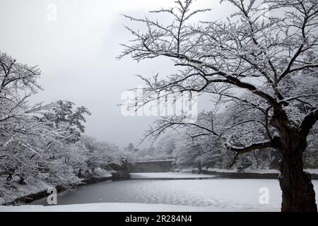 Le fossé du château de Tsuruga en hiver Banque D'Images