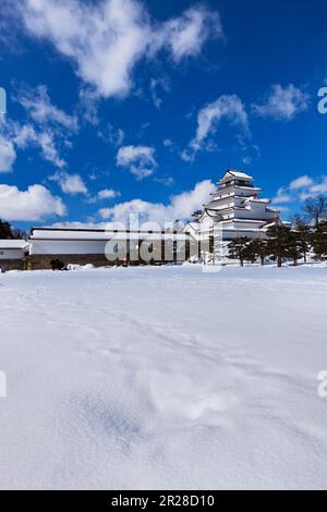 Château de Tsuruga en hiver Banque D'Images