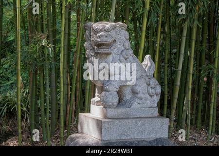 Statue de lion gardien chinois dans une forêt de bambou Banque D'Images