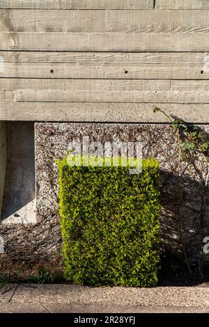 Une douille carrée contre le mur. Temps d'été et ensoleillé Banque D'Images