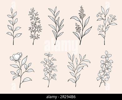 Outline fleurs feuilles botaniques. Bouquet fleuri dessiné à la main. Elegant Leaves Branch for Wedding invitation Save the Date Card. Illustration de Vecteur