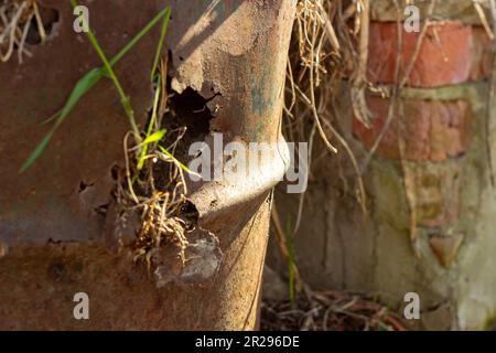 Morceau d'un corps en fer rouillé avec peu de trous de rouille et de l'herbe sèche dessus. Image avec mise au point sélective Banque D'Images