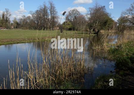 Les boulrouneurs dans la rivière du début du printemps navigation de la rivière surrey angleterre Banque D'Images