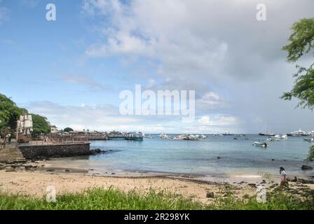 Playa de Oro, Golden Beach. Puerto Baquerizo Moreno. Île de San Cristobal. Îles Galapagos, Équateur Banque D'Images