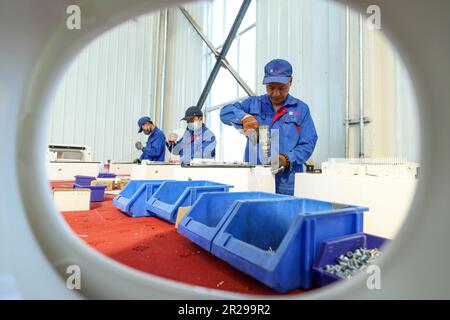 ZHANGYE, CHINE - 18 MAI 2023 - les travailleurs assemblent 4 000 toilettes écologiques intelligentes à moteur biologique commandées par les clients à la ligne de production de Zhang Banque D'Images