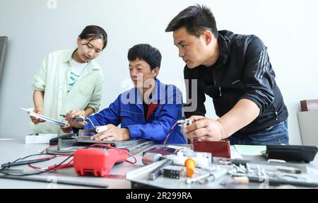 ZHANGYE, CHINE - 18 MAI 2023 - des techniciens testent les performances des produits dans la salle R&D du centre technologique de Zhangye Lanbiao Biotechnology Co., LT Banque D'Images